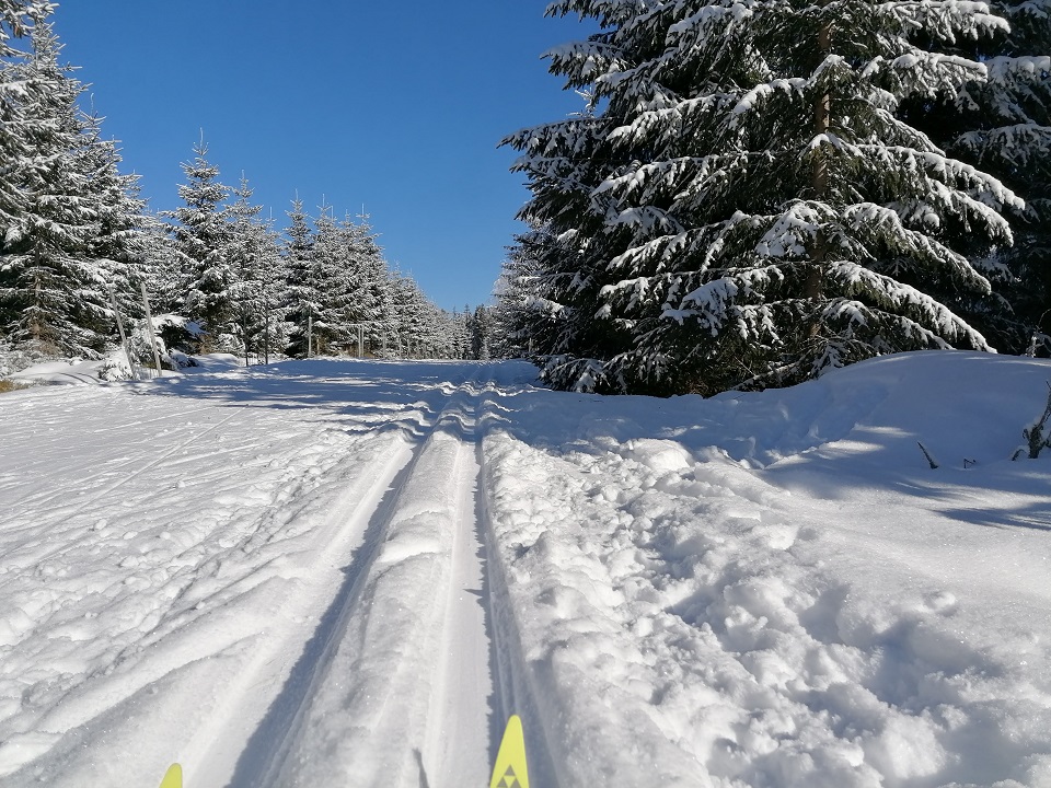 Loipe in der Nähe vom Fichtelberg